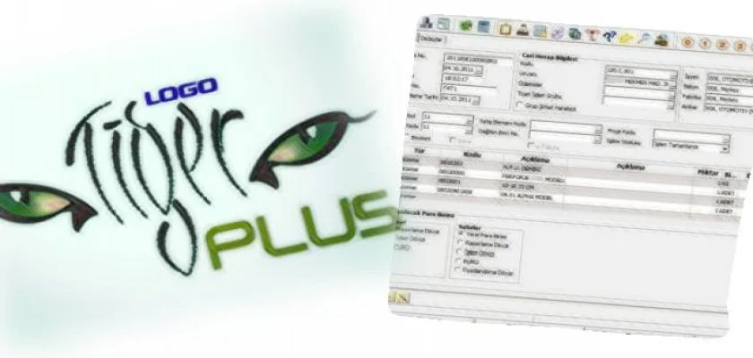 Logo Ticari Paket Programı Nedir