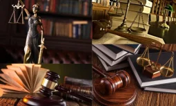 Mülkiyet Hakları ve Gayrimenkul Hukuku