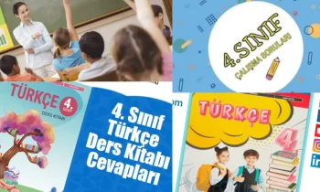 4. Sınıf Türkçe Ders Kitabı Cevapları: Tüm Ünite Çözümleri
