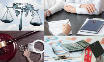 Vergi Ceza Hukuku Nedir?