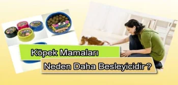 Köpek Mamaları Neden Daha Besleyicidir