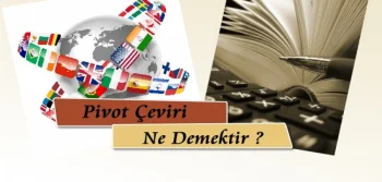 Pivot Çeviri Ne Demektir