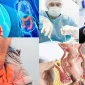 Hemoroid Bitkisel Tedavi Metodları Artık Mevcut